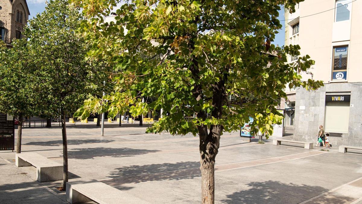 Imatge de la plaça Sant Domènec de Manresa a ple sol