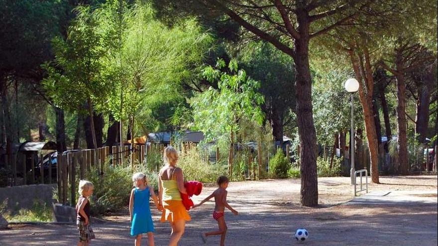 El càmping té garantia de qualitat ambiental.