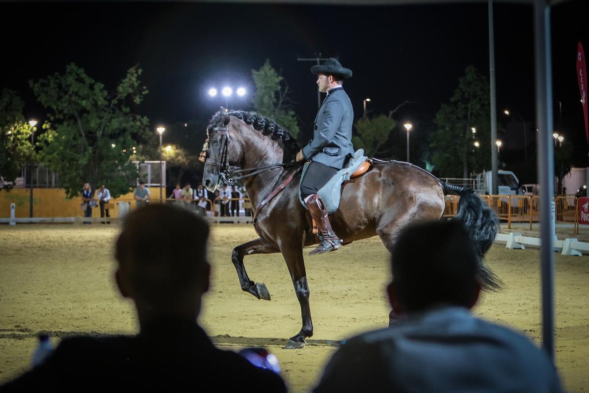 Así ha sido la Feria de Ganado de Dolores