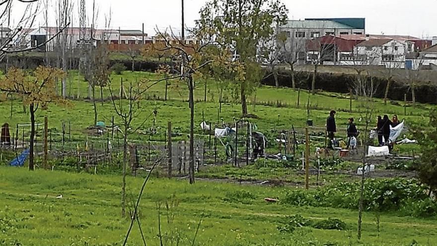 Una jornada informa de las posibilidades de los huertos en Trujillo