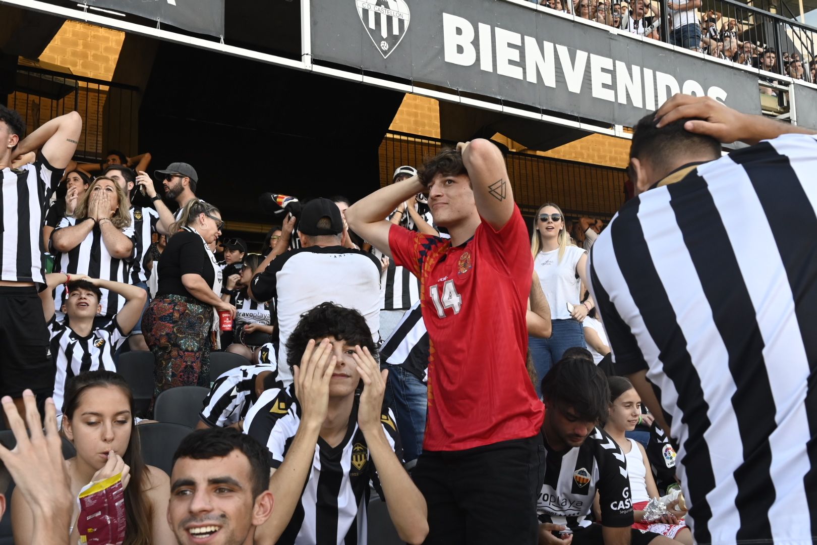 Así vive la afición albinegra el partido Alcorcón-Castellón