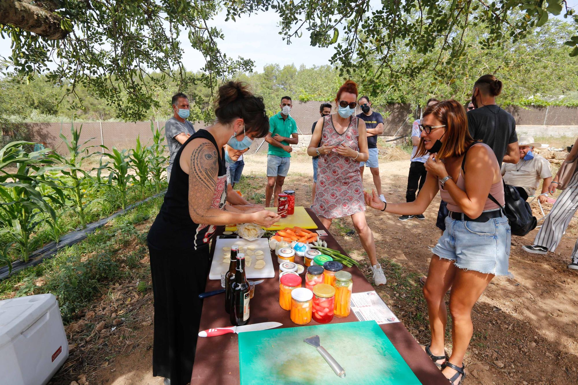 Taller de fermentación en Ibiza