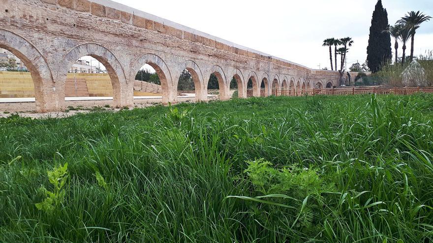 Alcantarilla, donde nace la huerta murciana