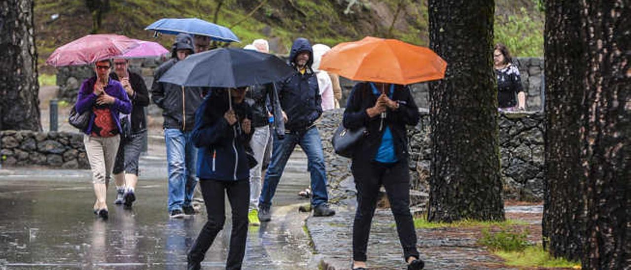 Turistas que visitan la Isla ataviados con paraguas en un día de lluvia en Valleseco.
