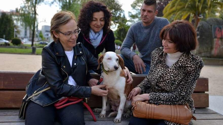 La perrita en el momento de entrega en Pontevedra a su nueva y definitiva familia. // Gustavo Santos