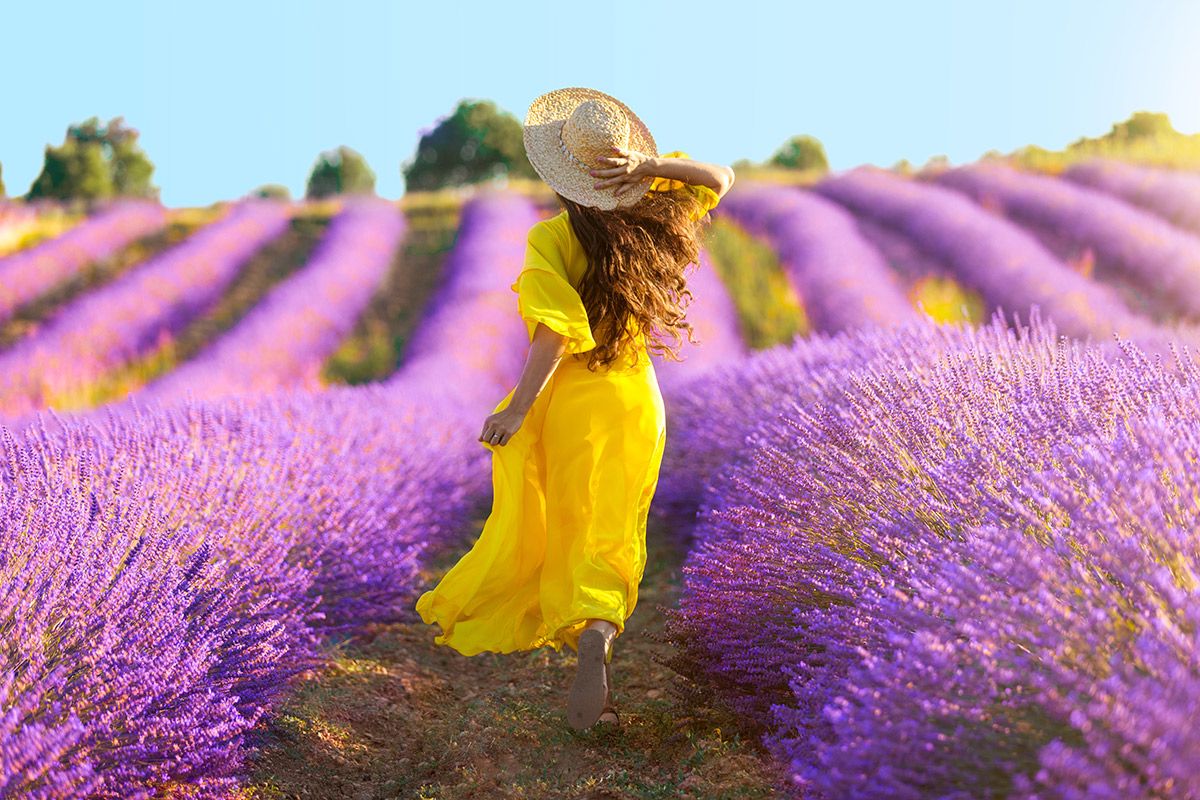 Las razones por las que este aceite antiestrés de lavanda se ha convertido en nuestra obsesión del verano