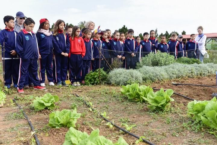 Visita escolar a la Granja Agricola del Cabildo