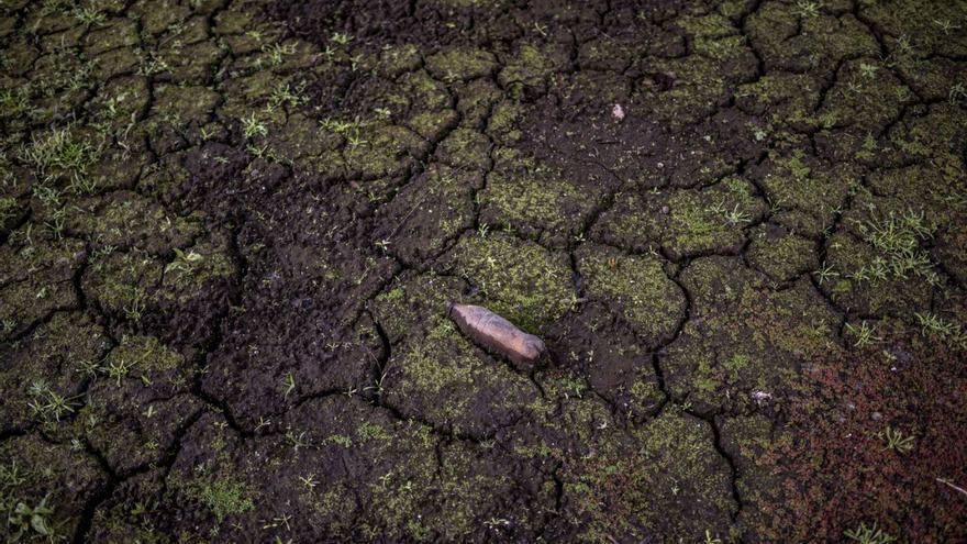 Efecto de la sequía del pasado año en el lecho del río Mao, en Montederramo. |   BRAIS LORENZO