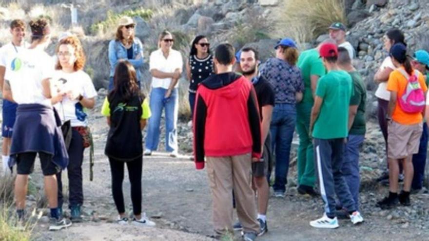 Los estudiantes luchan contra el rabo de gato en el barranco de Fataga