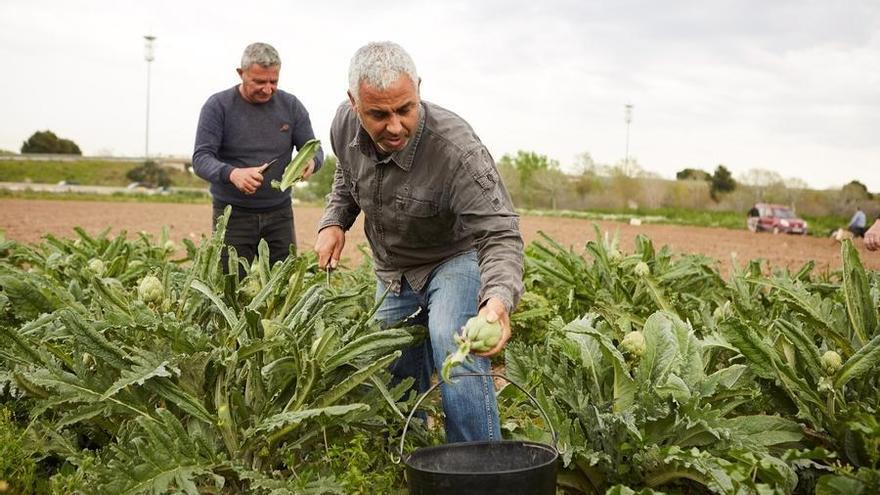 La Fundación &#039;la Caixa&#039; destina más de 75.000 € a 3 proyectos de transformación social en el ámbito rural