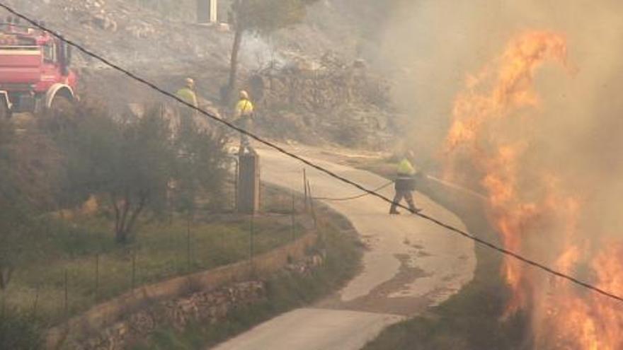 Los bomberos luchan contra las llamas de varios metros de altura, ayer en Llucena.