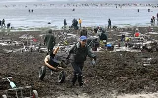 El “shock” en el marisqueo, mucho más allá de las lluvias