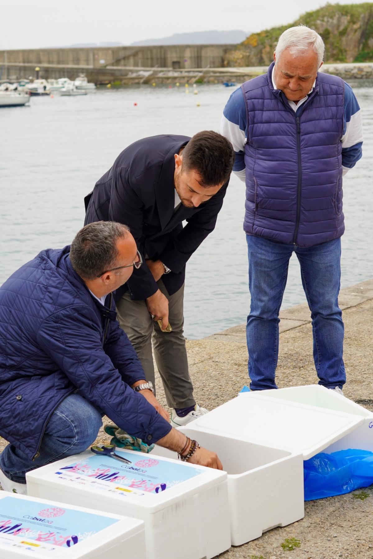En imágenes: así fue la suelta de 500 laminarias en la costa de Luarca En imágenes: así fue la suelta de 500 laminarias en la costa de Luarca