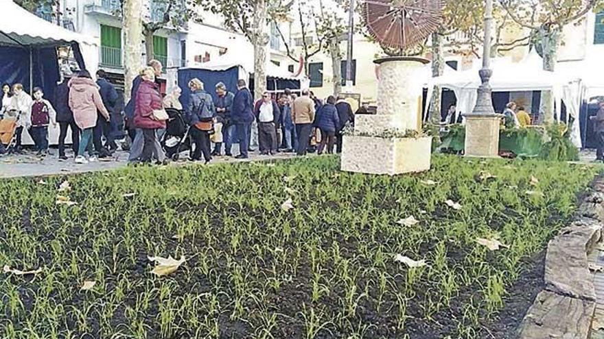 La agricultura siempre está presente en la feria. En la Plaça se recreó un cultivo.