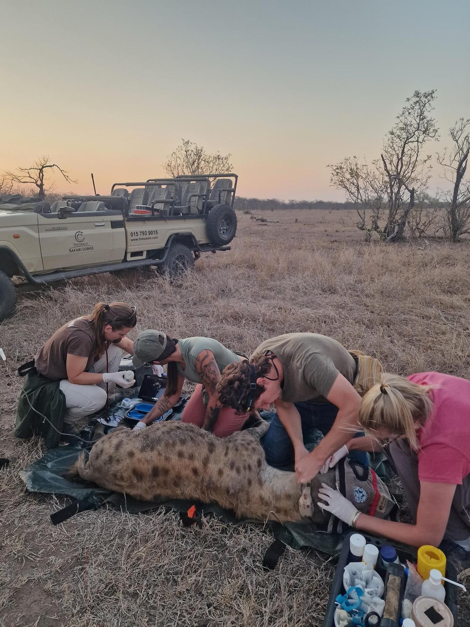 Trabajos de Elena Alonso contra el furtivismo en África