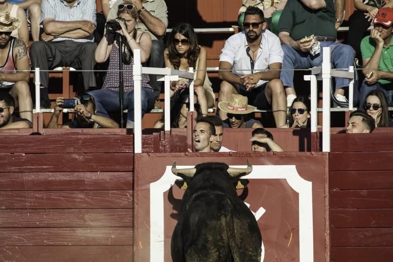 Concurso de cortes en la Plaza de Toros de Benaven