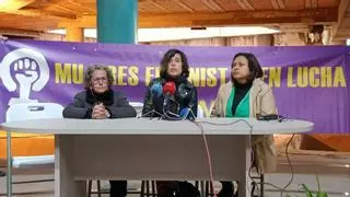 La Plataforma 8M se manifestará en Mérida para "gritar" por los derechos de las mujeres