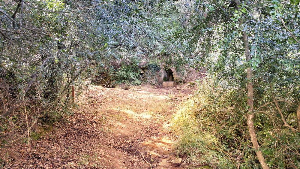 Font. Les nostres contrades estan plenes de racons amagats com el de la imatge. Un entorn per fer una caminada suau i un camí idíl·lic que ens durà a la font de la Regata, a Rajadell, la qual recull l’aigua del torrent del Daurell.