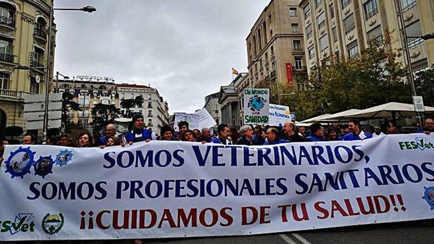 Cabeza de la manifestación de los veterinarios, ayer, en Madrid.