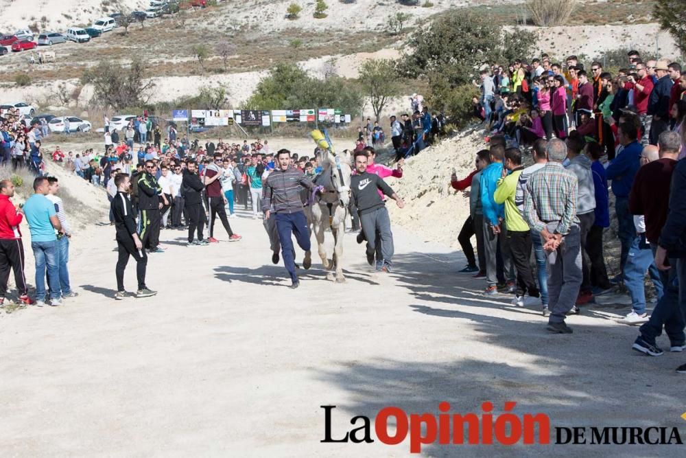 Entrenamiento Caballos del Vino