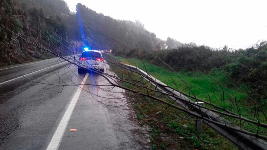 Inundaciones, árboles caídos y cortes de carreteras, consecuencias de &quot;Ana&quot;