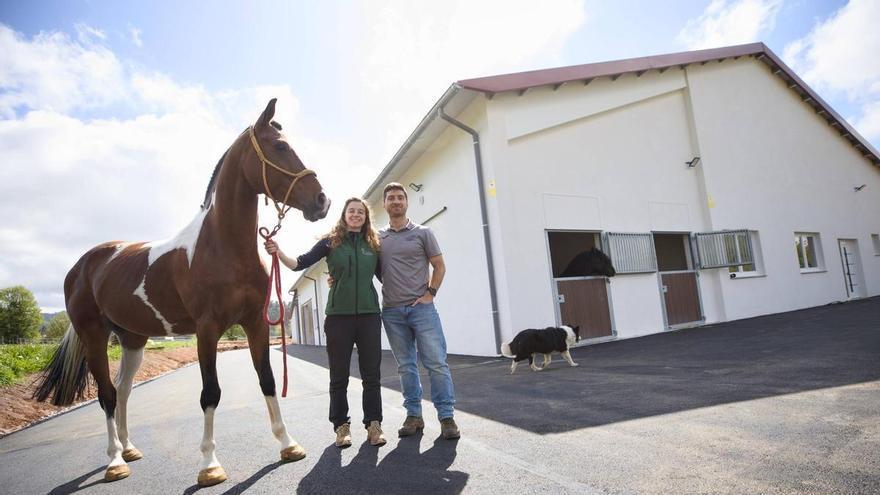Así es el hospital para caballos de Villaviciosa: un centro único en Asturias que ofrece atención veterinaria integral para los equinos