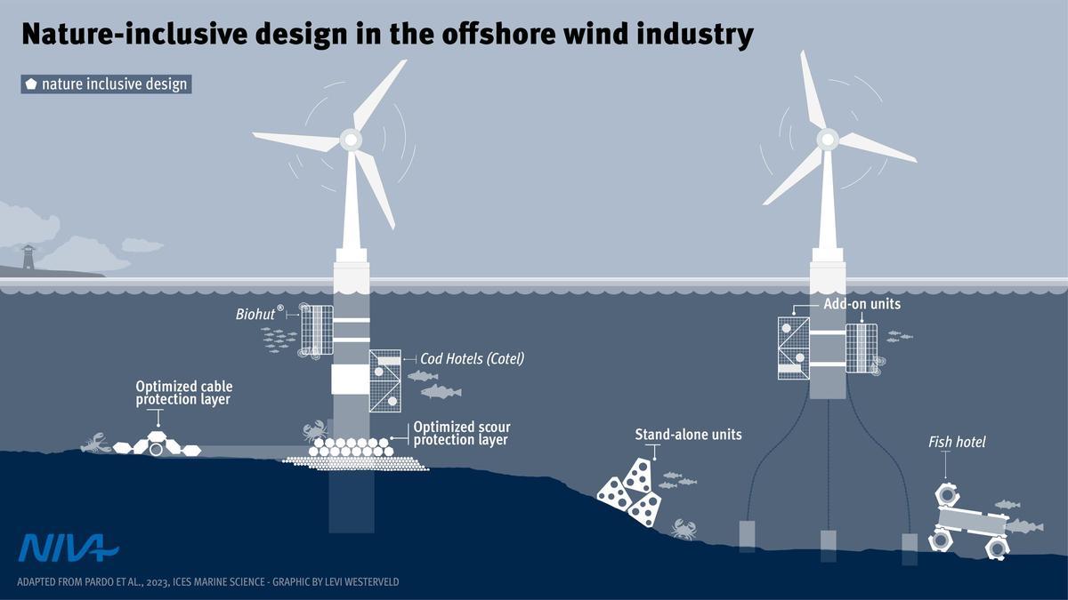 Diseño de inclusión de innovación para fomentar el desarrollo de biodiversidad en infraestructuras eólicas marinas.