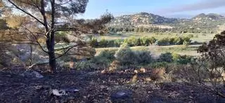 El estrago del último incendio en el Montgó, en imágenes