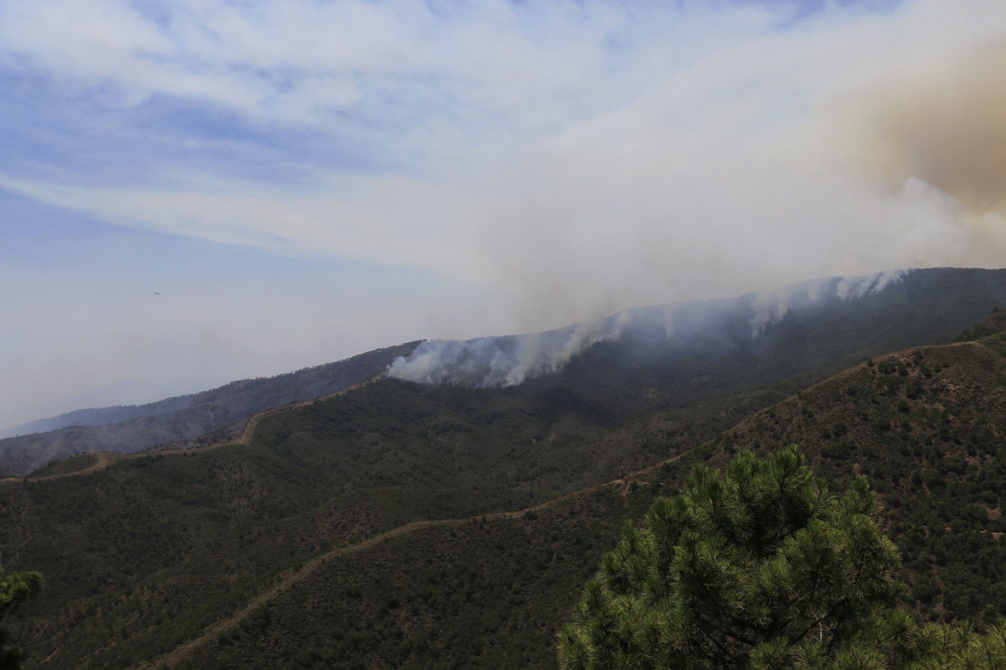 Un millar de efectivos trabajan para controlar el fuego de Sierra Bermeja