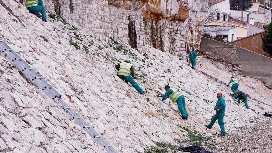 Los trabajadores acceden a las Peñas de Santa Marta para limpiar la vegetación.