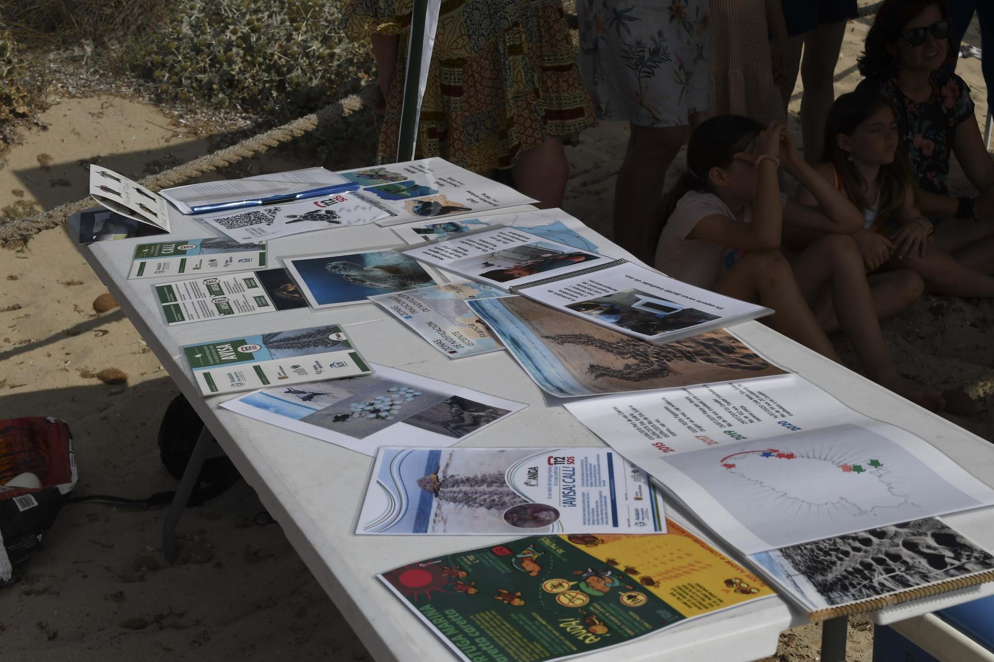 Galería de imágenes de la jornada en ses Salines de Ibiza sobre el desove de tortugas