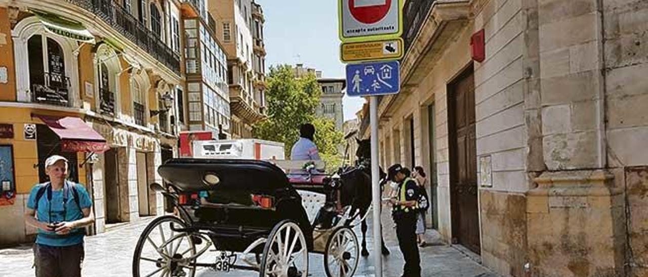 Un agente de la Policía Local retiene una galera en Cort.