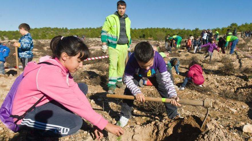 Zaragoza pedirá 600.000 euros a la DGA por los daños de la riada