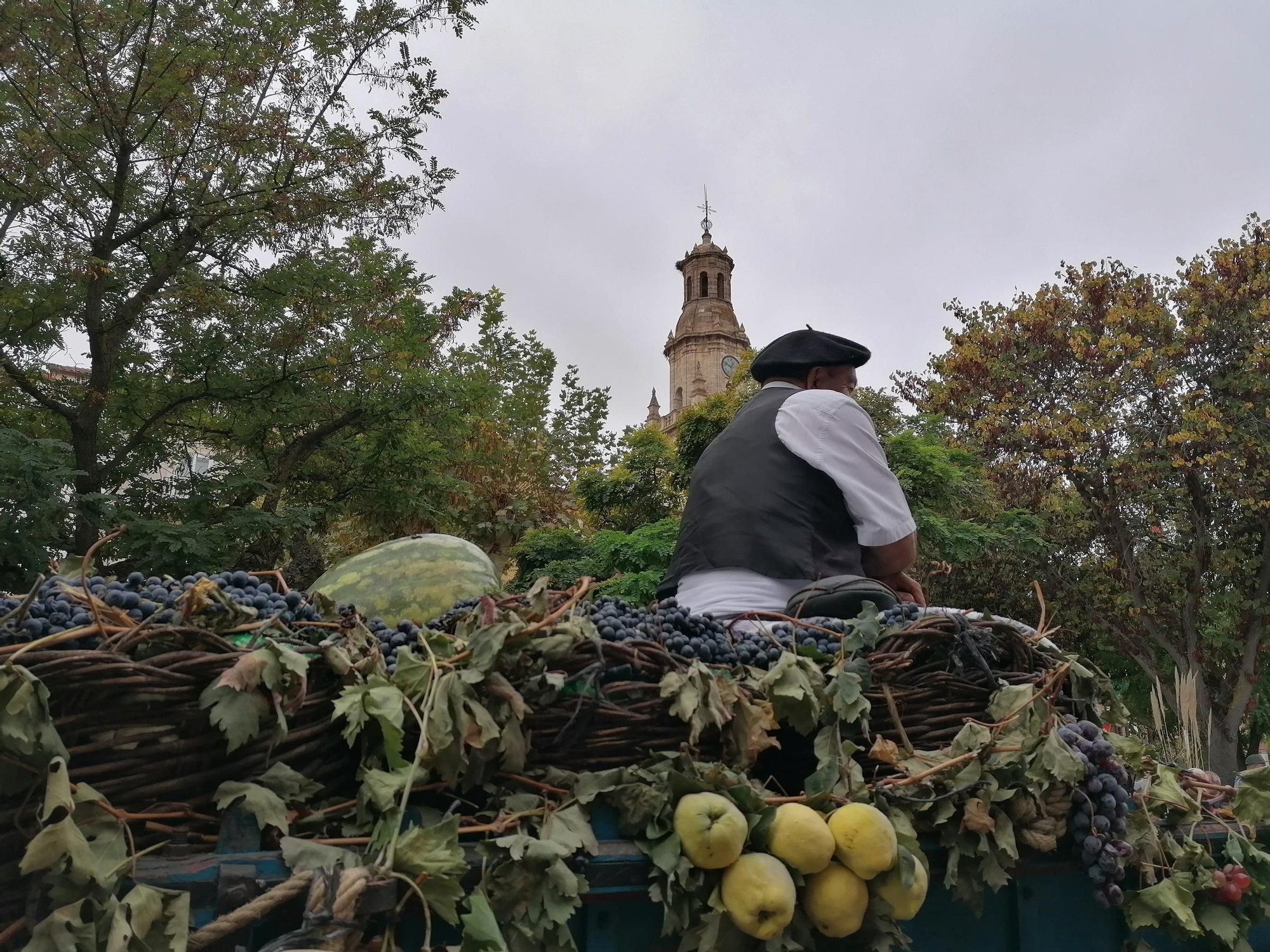 GALERÍA | Toro recrea la vendimia tradicional en el desfile de carros