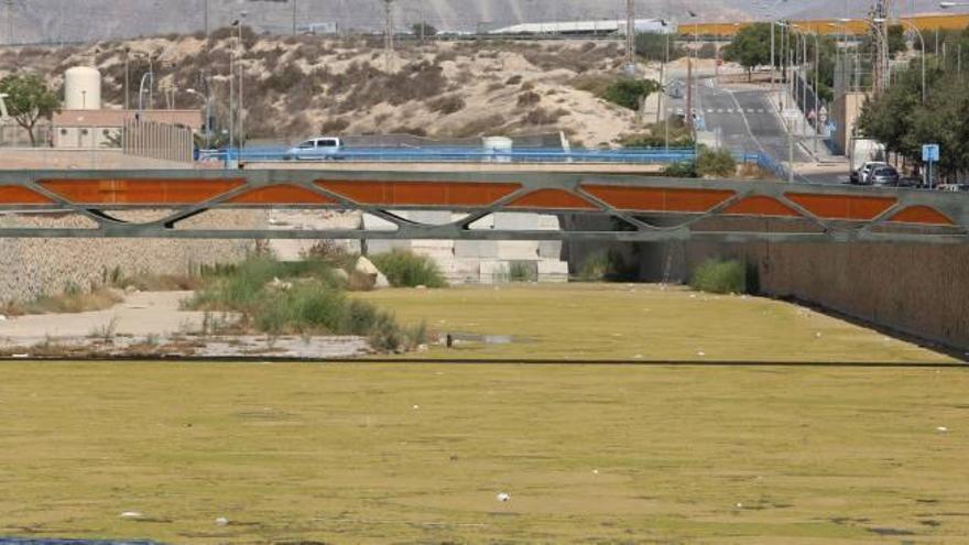 Sanidad y la UA descartan que haya ratas y mosquitos en el Barranco de las Ovejas