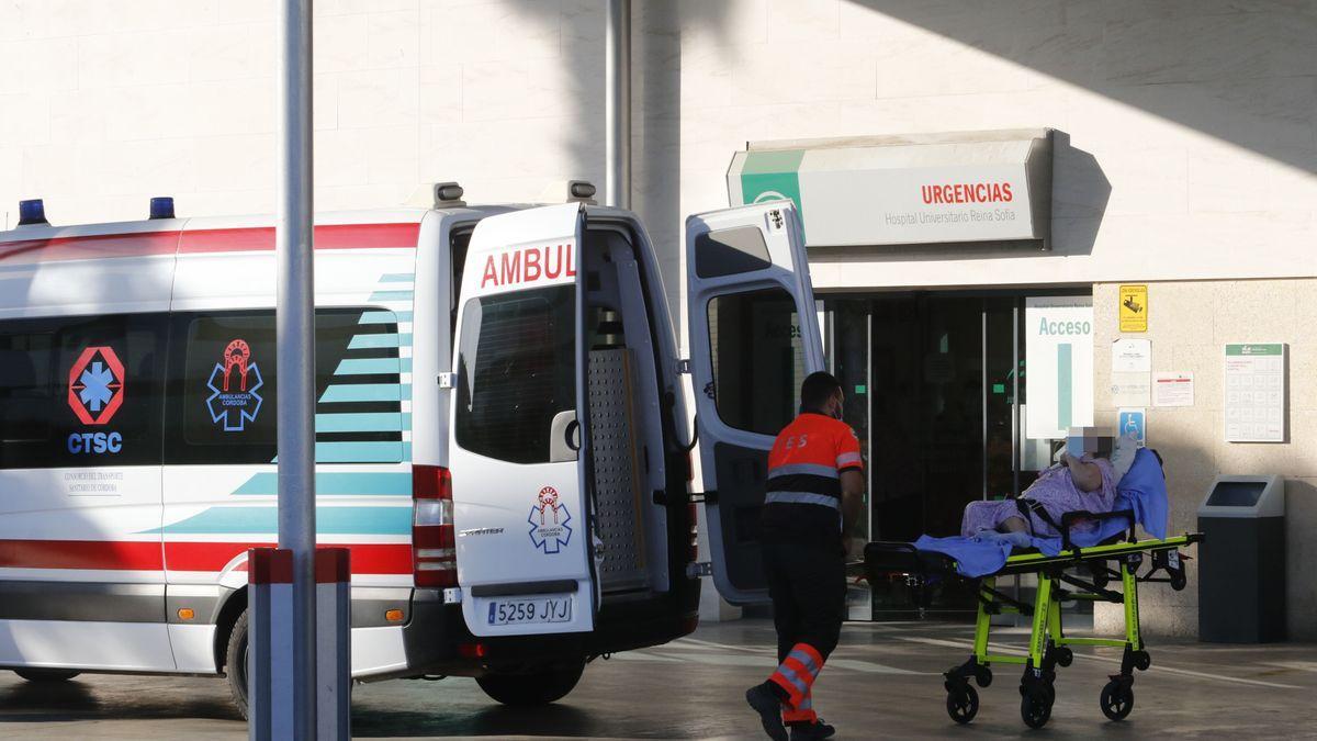 Un sanitario accede con un paciente a las urgencias del Reina Sofía.