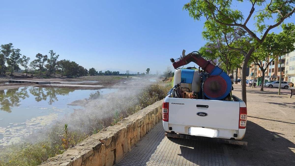 Aplicación contra el mosquito tigre y otros insectos en el Magro, esta mañana.