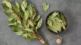 La razón por el que la gente añade una hoja de laurel a la lavadora para lavar la ropa