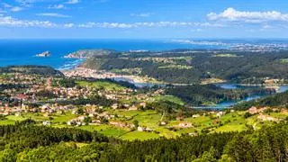 Ni Galicia, ni País Vasco: la capital de las angulas en España está en Asturias