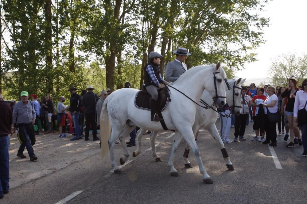 Las fotografías de La Concha 2016