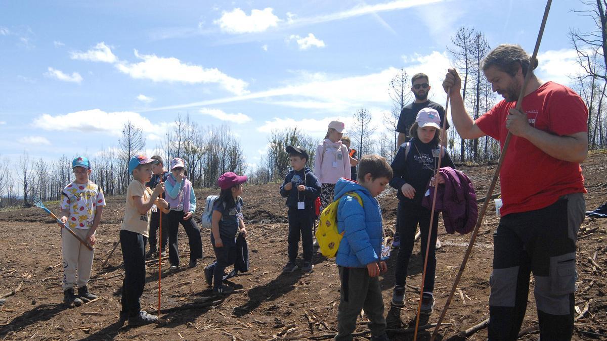 Una actividad de reforestación con escolares en O Sexo.