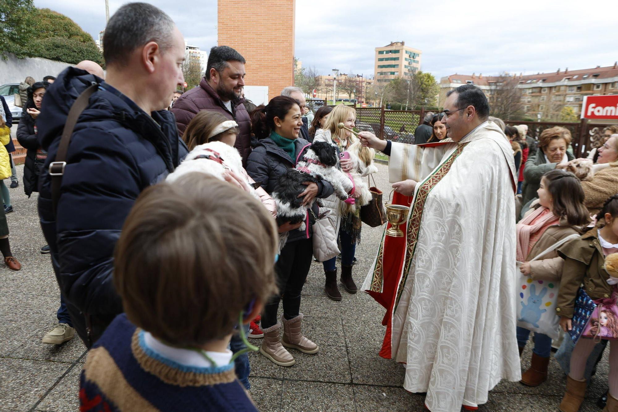 Bendición mascotas en Gijón en la parroquia de Viesques