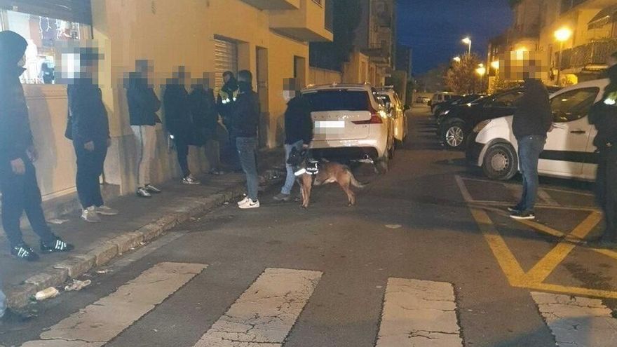 L&#039;operatiu de seguretat de la Guàrdia Urbana de Figueres amb gossos ensinistrats per detectar drogues