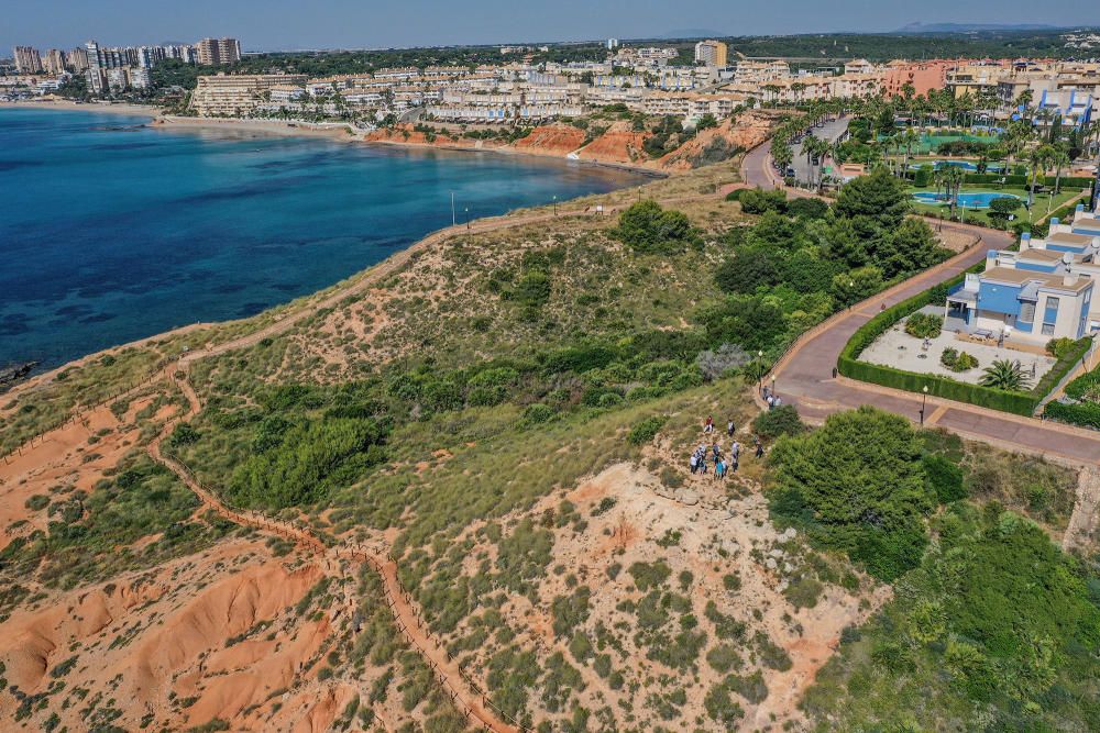 El Ayuntamiento de Orihuela ha invertido 32.000 euros en adecuar un sendero de 1,4 kilómetros en la microrreserva de flora de Punta de La Glea y ha presentado guía con las 56 especies de flora, muchas