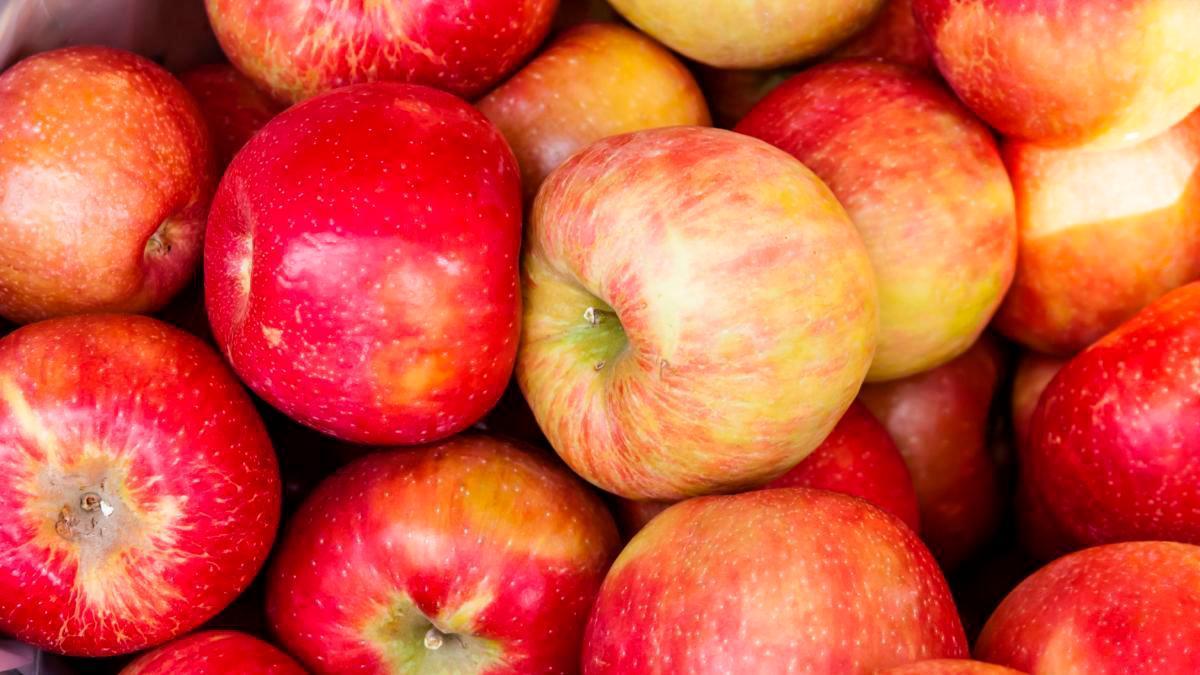 ¿Qué pasa si como manzana todos los días?