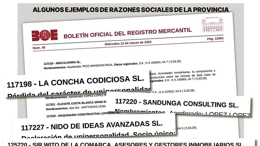 De Sandunga Consulting a Sir Wito de la Comarca: los nombres de empresas alicantinas que no creerías