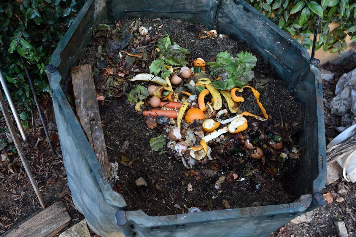 El compost, medio para enriquecer el suelo