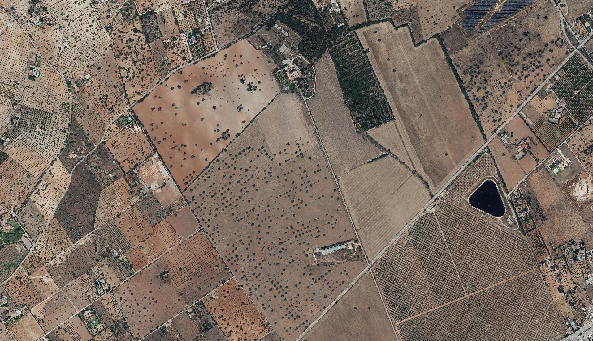 Parques fotovoltaicos | Esta es la comparativa del suelo rústico antes y después de las placas solares