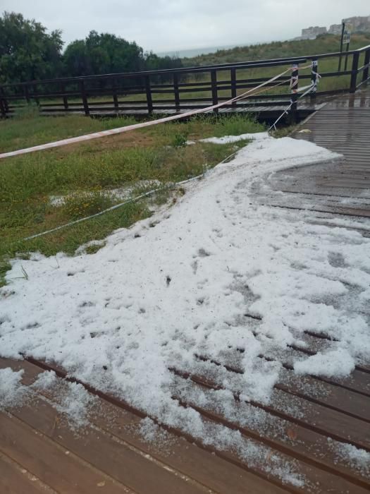 Un tormenta ha dejado imágenes de acumulación de granizo en el litoral de la Vega Baja. La comarca ha recogido hasta 30 litros por metro cuadrado en la costa y poco más de un litro en el interior.