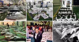 Menos flota y tirón industrial fuerzan a Galicia a importar tanto pescado al año como el que faena